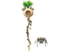 Spider Enclosure Accessories - Reptile Toys | Climbing Vines for Reptiles,for Lizard Turtle Hermit Crab Bearded Dragon Frog Tortoise Gecko Mantis Chameleons Ball Pythons Snakes