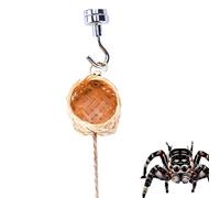 Spider Enclosure Box - Resin Container, Shelter, Mini Vivarium | Portable Spider Cage with Natural Rope Feature, Breathable Small Animal Habitat for Outdoor Camping, Garden Table Setup, Dis