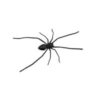 Spider Fridge Magnets, 3D Spider Magnet,Realistic & Cute Magnetic Decor, Spooky Spiders Strong Fridge Magnets Funny Pranks Gifts for Whiteboard Fridge Locker Kitchen Office School (Black)