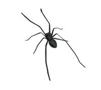 Spider Fridge Magnets Novelty 3D Spooky Magnetic Spider with Legs for April Fool's Day Halloween, 2025 Cute Spider Strong Fridge Magnets Funny Pranks Gift for Refrigerator Door Whiteboard Kitchen
