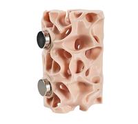 Spider Habitat Magnetic Hiding Place
