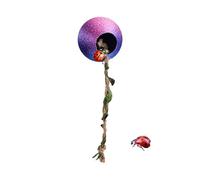 Spider habitat | Reptile Residence Decor | Spider shelter with a climbing rope - for Birdspider Gecko Walking leaf Lizard Tree Pope's Helmet Climbing Rest