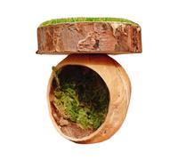 Spider Habitats - Jumping Spider Box, Walnut Hut Cave | Effortless Setup Reptiles Animal Breeding Box Accessories, Elegant Ornamentation Shelter Accessories Magnetic For Amphibian Reptile