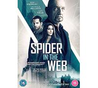 Spider in the Web