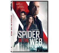 Spider In The Web