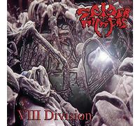 Spider Kickers - Viii Division
