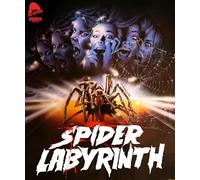 SPIDER LABYRINTH