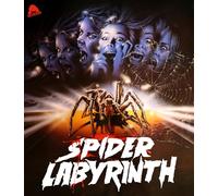 SPIDER LABYRINTH