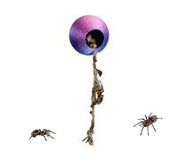 Spider Living Environment | 3D Printed with a Climbing Rope,Gecko Cave Box Enclosure Decoration Piece,for Climbing, Resting, Breeding, Enrichment, Geckos, Frogs and Praying Mantis