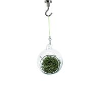 Spider Magnetic Hideouts,Natural Clear Magnetic Hideout,Jumping Spider Enclosure Accessories | for Terrarium Amphibians Frogs Beetles Rhinoceros Lizard
