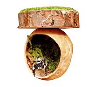 Spider - Magnetic Jumping Spider Hiding Habitats for Terrariums | Handmade Reptile Amphibian Accessories with Strong Magnets for Tarantula Frog Gecko and Pet Enclosure, 1.57x2.36 inches