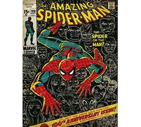 Spider-Man "100th Anniversary Canvas Print, Multi-Colour, 60 x 80 cm