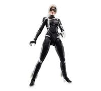 Hasbro Marvel Legends Series Gamerverse Black Cat Felicia Hardy Action Figure