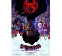 Spider-man: Across the Spider Verse Movie Poster Print (27 x 40)
