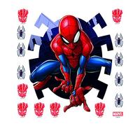 Spider man AG Design - Wall Sticker Marvel - Self Adhesive - Disney wall decal - 30x30 cm/12x12 inches, 1 part - DKs 3804