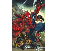 Spider-Man & Avengers