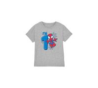 Spider Man Cute Spidey Birthday 1 Kids T-Shirt Light Grey | Size: 5-6 Years Spider Man Light Grey 5-6 Years