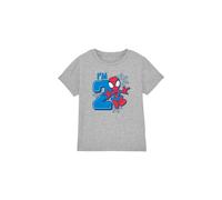Spider Man Cute Spidey Birthday 2 Kids T-Shirt Light Grey | Size: 3-4 Years Spider Man Light Grey 3-4 Years
