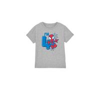Spider Man Cute Spidey Birthday 4 Kids T-Shirt Light Grey | Size: 5-6 Years Spider Man Light Grey 5-6 Years
