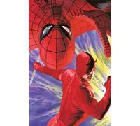 Spider-Man & Daredevil