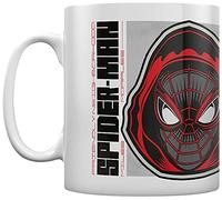 Spider-Man Miles Morales (Hooded)