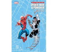 Spider-Man & Punisher: Web of Heroes Collection (Spider-Man: Web of Heroes Collection)
