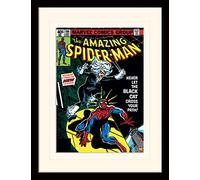 Spider-Man 30 x 40 cm Black Cat Man Mounted and Framed Print