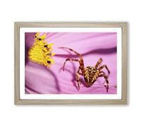 Spider on Purple Flower Framed Print | A2 Oak Framed Wall Art | Ready to Hang | Modern Floral Picture | Living Room Bedroom Lounge Office