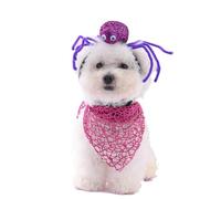 Spider Pet Costume Set - Halloween Headband & Bandana for Dogs & Cats, Cute Scarf & Headpiece Accessories for Small/Medium Pets