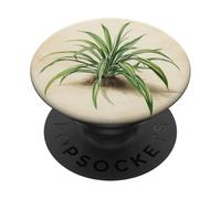 Spider Plant Vintage Scientific Illustration Plant PopSockets Adhesive PopGrip