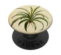 Spider Plant Vintage Scientific Illustration Plant PopSockets Adhesive PopGrip