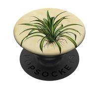 Spider Plant Vintage Scientific Illustration Plant PopSockets Adhesive PopGrip