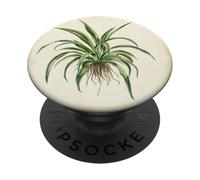 Spider Plant Vintage Scientific Illustration Plant PopSockets Adhesive PopGrip