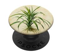 Spider Plant Vintage Scientific Illustration Plant PopSockets Adhesive PopGrip