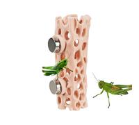 Spider Shelter, Magnetic Hiding Place, Gecko Habitat, for Terrarium Jumping Spider Climbing Pet Frog Gecko Amphibian Enclosure