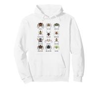 Spider Species Illustration Pullover Hoodie