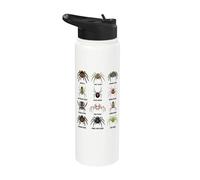 Spider Species Illustration Stainless Steel Insulated Water Bottle