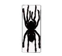 Spider Specimen in Resin, Science Education Specimen, Bug Preserved Specimen Collection Paperweights, for Biology Science Education Display Supplies, Desk Decor (4.33 * 1.77 inch)