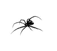 Spider Temporary Tattoo Lasts To 15 Days Waterproof Semi Permanent Sticker(TYPE A)