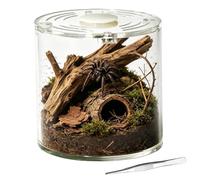 Spider Terrarium, 10 x 10 cm Acrylic Anti-Escape Ventilated Stackable, Cage for Spiders and Reptiles | Bernard - Snails, Praying Mantis, Frogs