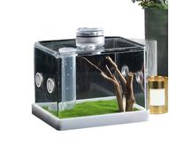 Spider Terrarium Box - Acrylic Habitat Enclosure, Secure Lid Tank | Compact Jumping Spider Display Case, Easy Access Reptile Housing for Pet Care Observation Collection Handling Science Experiments