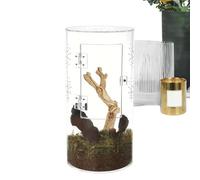 Spider Terrarium, Jumping Spider Habitat - Acrylic Praying Mantis Terrarium | Ventilated Waterproof Habitat with Opening Door for Tarantulas, Mantises, Hermit Crabs and Crabs