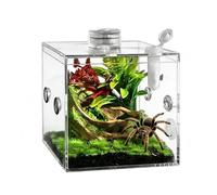 Spider Terrarium, Transparent Terrarium, Praying Mantis Terrarium, for Use at Home, in the Interior and also in the Living Room: Snails, Lizards, Praying Mantis and Kle