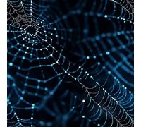 Spider Web Peel and Stick Wallpaper Self-Adhesive Wallpaper Fantasy Cartoon Contact Paper Non-Woven Canvas Removable Wall Paper for Living Room Bedroom Shelf Liner Walls Cabinets 44x600 cm