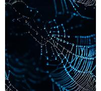 Spider Web Peel and Stick Wallpaper Self-Adhesive Wallpaper Night Sky Fantasy Contact Paper Non-Woven Canvas Removable Wall Paper for Living Room Bedroom Shelf Liner Walls Cabinets 44x1000 cm