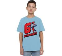 Spiderman Boys Birthday 6 Unisex Kids T-Shirt, Light Blue, 5-6 Years UK