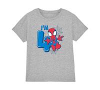 Spiderman Boys Cute Spidey Birthday 4 Unisex Kids T-Shirt, Athletic Heather, 7-8 Years UK