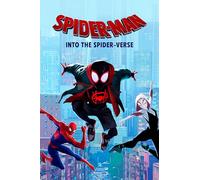 Spiderman Into The Spider-verse Movie Poster Print Unframed A5 A4 A3 A2 A1 Maxi Art Wall Art Home Decor Movies Cinema 2026 (A1-59.4 x 84.1cm)
