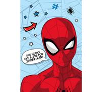 Spiderman Star Microflannel Blanket