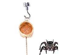 Spiders Habitat Cage, Magnetic Jumping Spider Enclosure, Spider Enclosure Habitat, Decorative Animal Cage Accessories, Hiding Nest for Home, Pet Shop, (6.3-7.09 inches) Multicoloured